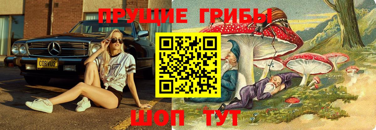 Псилоцибиновые грибы GOLDEN TEACHER  Галлюциногенные грибы Magic Shrooms  Вход с VPN  Томск 